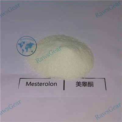Mesterolone Powder