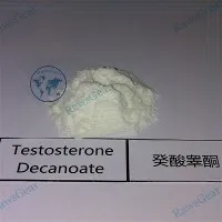 Testosterone Decanoate Powder