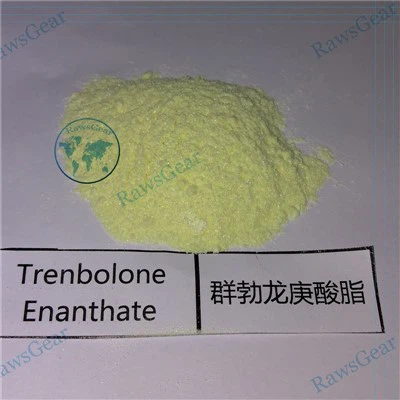 Trenbolone Enanthate Raw Powder